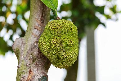 Xbox精英手柄2代公开 售价129.99美元、9.21发售